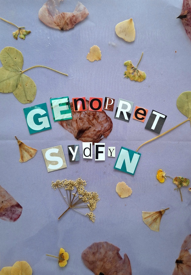 Image alt text here